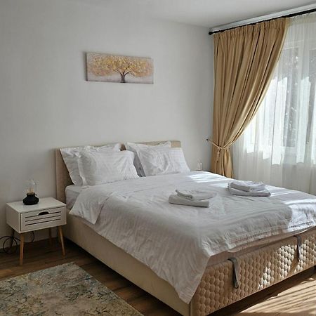 Saturn Studio Brasov Ngoại thất bức ảnh
